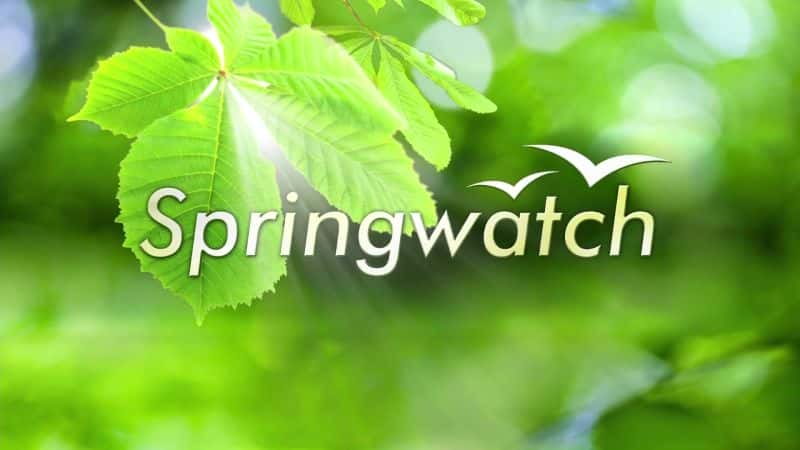 BBCԭ¼ƬSpringwatch2015BBCSpringwatch-ˮӡѸ