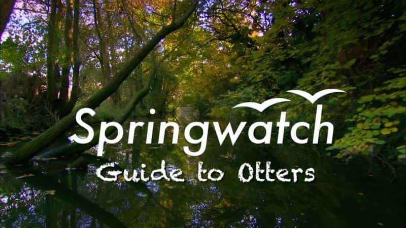 BBCԭ¼ƬSpringwatchˮָ̡ϡ-ˮӡѸ