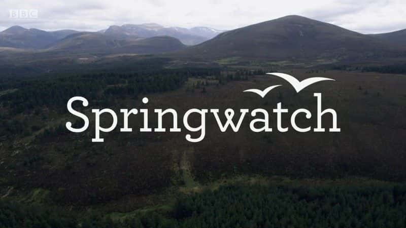 BBCԭ¼ƬSpringwatchڻ԰Ұ-ˮӡѸ