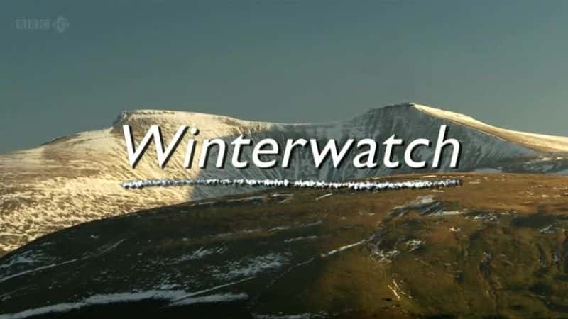 BBCԭ¼ƬWinterwatchBBC-ˮӡѸ