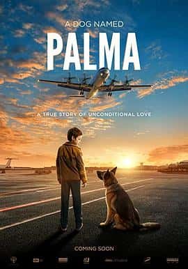 电影忠犬帕拉ADogNamedPalma(2021) - 1080P/720P/360P高清标清网盘迅雷下载