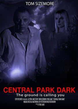 电影暗黑中央公园CentralParkDark(2021) - 1080P/720P/360P高清标清网盘迅雷下载