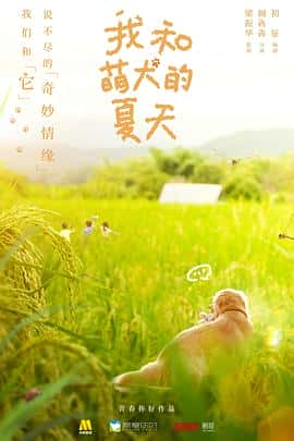 电影《我和萌犬的夏天‎ (2022)》 - 1080P/720P/360P高清标清网盘迅雷下载