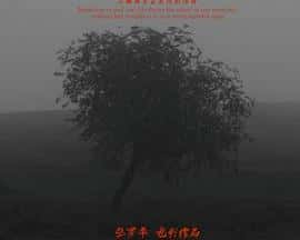 电影《安那般那‎ (2022)》 - 1080P/720P/360P高清标清网盘迅雷下载