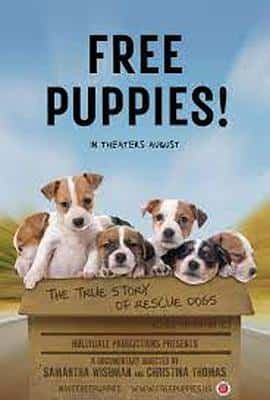 电影《Free Puppies!‎ (2022)》 - 1080P/720P/360P高清标清网盘迅雷下载