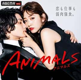 电影《ANIMALS‐アニマルズ‐ 帰国編‎ (2022)》 - 1080P/720P/360P高清标清网盘迅雷下载