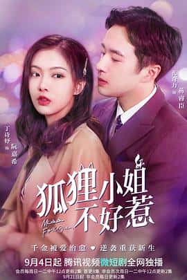 电影《狐狸小姐不好惹‎ (2022)》 - 1080P/720P/360P高清标清网盘迅雷下载