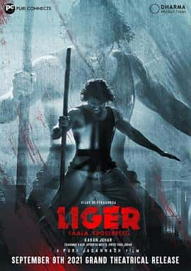 电影《Liger‎ (2022)》 - 1080P/720P/360P高清标清网盘迅雷下载