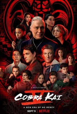 电影《眼镜蛇 第五季 Cobra Kai Season 5‎ (2022)》 - 1080P/720P/360P高清标清网盘迅雷下载