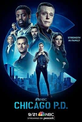 电影《芝加哥警署 第十季 Chicago P.D. Season 10‎ (2022)》 - 1080P/720P/360P高清标清网盘迅雷下载