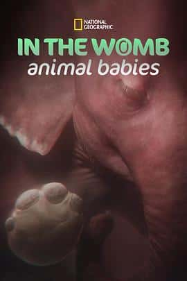 电影《In the Womb: Animal Babies Season 1‎ (2022)》 - 1080P/720P/360P高清标清网盘迅雷下载