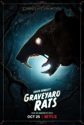 电影《Graveyard Rats‎ (2022)》 - 1080P/720P/360P高清标清网盘迅雷下载