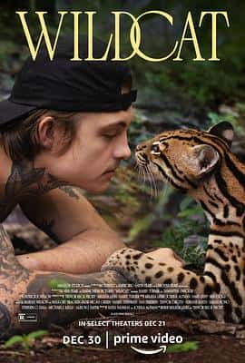 电影《Wildcat‎ (2022)》 - 1080P/720P/360P高清标清网盘迅雷下载