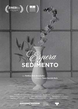 电影《Espera y sedimento‎ (2022)》 - 1080P/720P/360P高清标清网盘迅雷下载