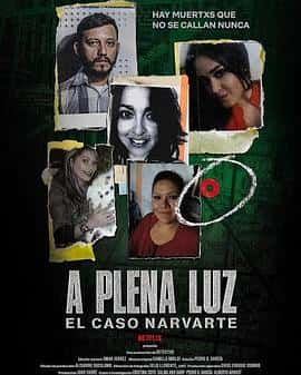 电影《A plena luz: El caso Narvarte‎ (2022)》 - 1080P/720P/360P高清标清网盘迅雷下载