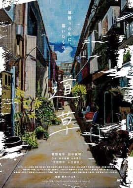 电影《道草‎ (2022)》 - 1080P/720P/360P高清标清网盘迅雷下载