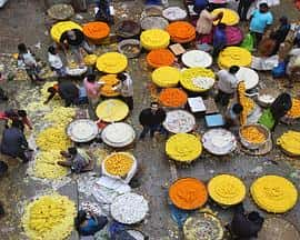 电影《Life in a Bowl - Bangalore‎ (2022)》 - 1080P/720P/360P高清标清网盘迅雷下载