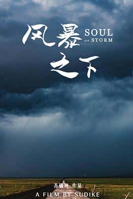 电影《风暴之下‎ (2022)》 - 1080P/720P/360P高清标清网盘迅雷下载