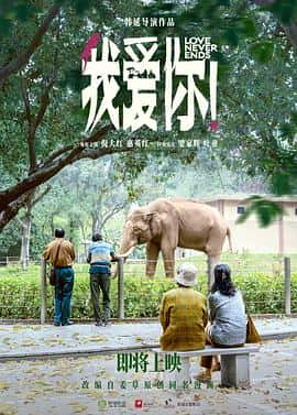 电影《我爱你！‎ (2022)》 - 1080P/720P/360P高清标清网盘迅雷下载