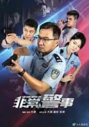 大陆电视剧《非常警事》-蓝光4K/1080P/720P/360P高清标清网盘百度云BT种子磁力迅雷下载