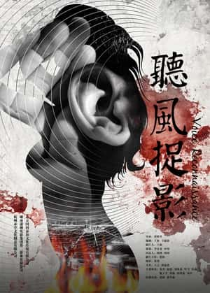 大陆电影《听风捉影》-蓝光4K/1080P/720P/360P高清标清网盘百度云BT种子磁力迅雷下载