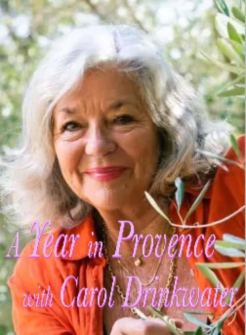 原版纪录片《普罗旺斯一年与 Carol Drinkwater/A Year In Provence with Carol Drinkwater》S01 1080p HDTV H264-DARKFLiX 原版无字纪录片解说素材1080高清下载