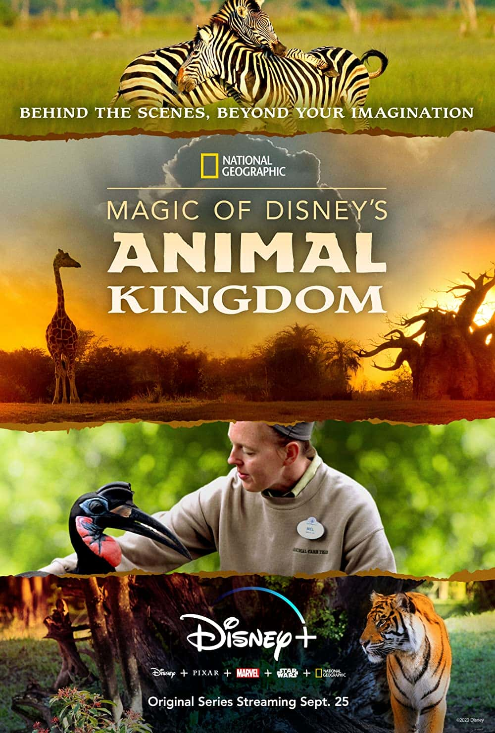 原版纪录片《迪士尼动物王国的魔法/Magic of Disneys Animal Kingdom》S01 WEBRip x264-ION10 原版无字纪录片解说素材1080高清下载