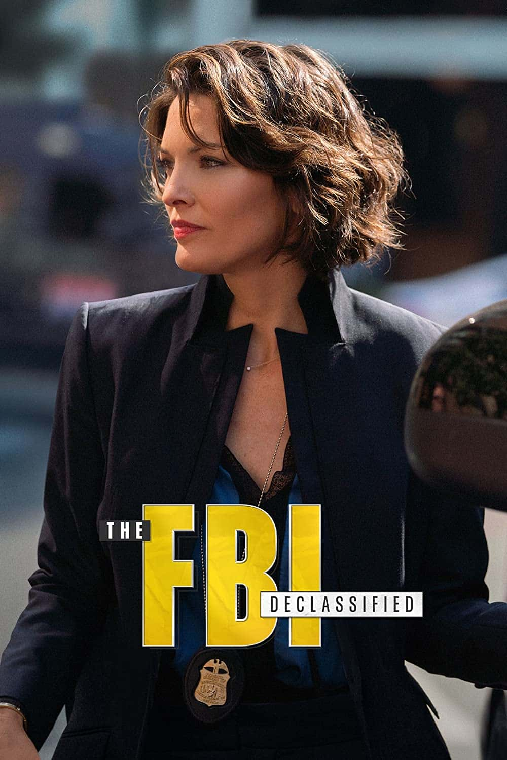 原版纪录片《联邦调查局解密/The FBI Declassified》S01 720p WEBRip AAC2 0 x264-BAE 原版无字纪录片解说素材1080高清下载