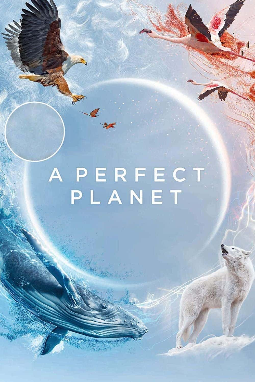 原版纪录片《完美星球/A Perfect Planet》S01 iP WEBRip x264-ION10 原版无字纪录片解说素材1080高清下载