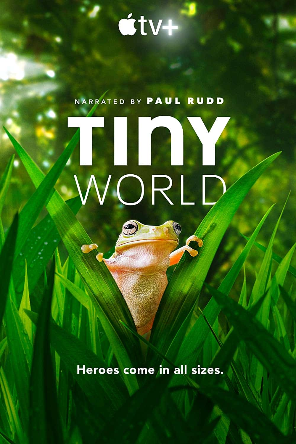 原版纪录片《小小世界/Tiny World》S01 2160p ATVP WEB-DL DDP5 1 Atmos x265-KOGi 原版无字纪录片解说素材1080高清下载