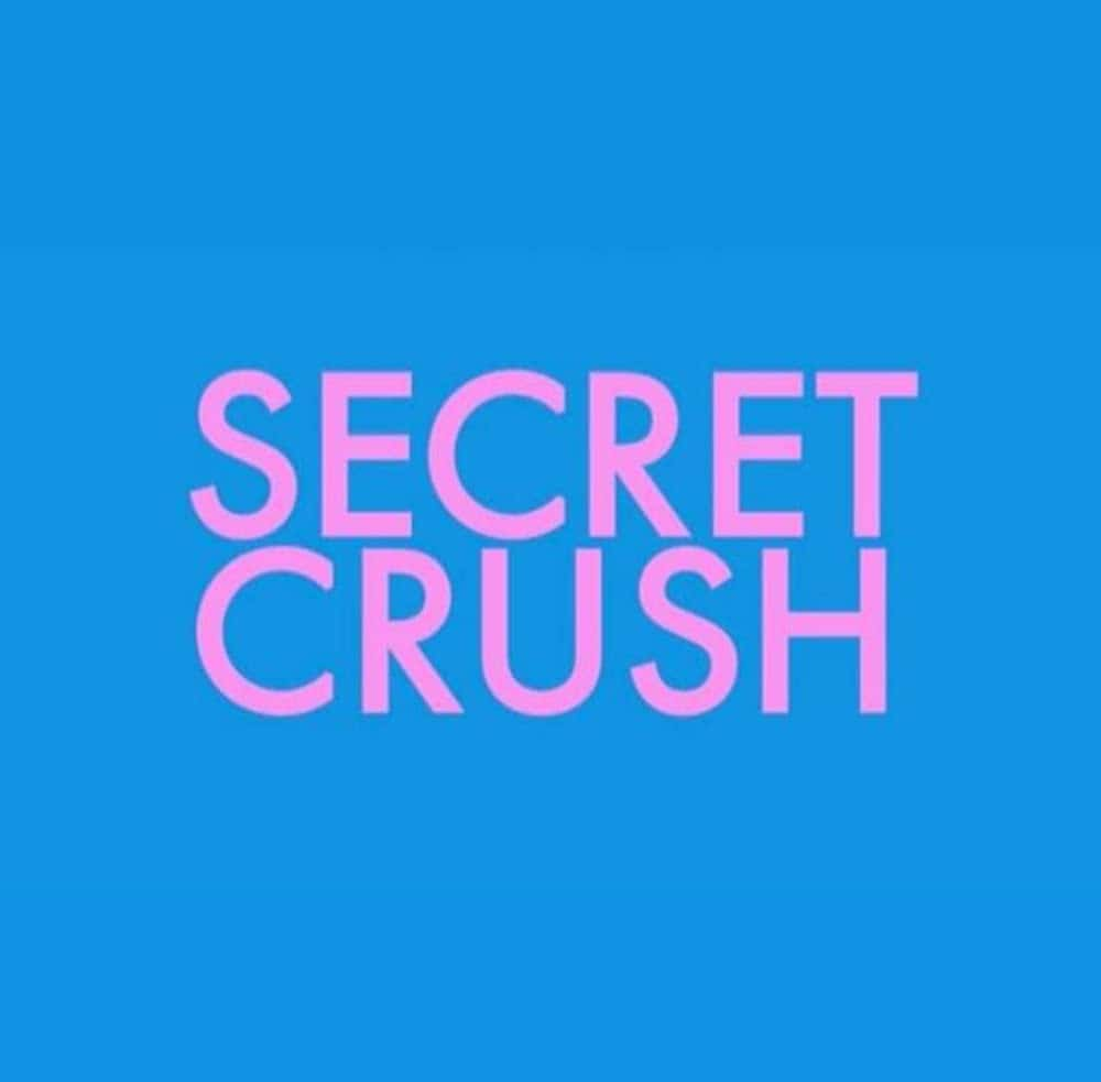 原版纪录片《暗恋/Secret Crush》S01 WEBRip x264-ION10 原版无字纪录片解说素材1080高清下载