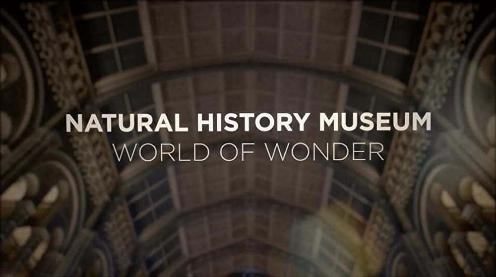 原版纪录片《自然历史博物馆 奇迹世界/Natural History Museum World of Wonder》S01 1080p HDTV H264-DARKFLiX 原版无字纪录片解说素材1080高清下载