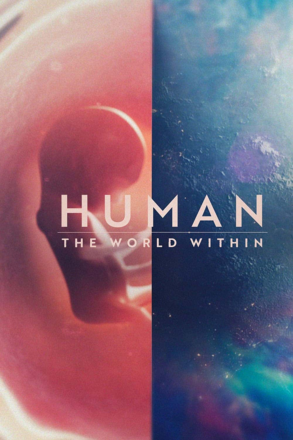 原版纪录片《人类内心世界/Human The World Within》S01 WEBRip x264-ION10 原版无字纪录片解说素材1080高清下载