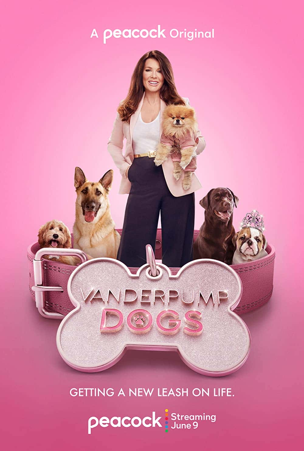 原版纪录片《范德普狗/Vanderpump Dogs》S01 720p PCOK WEBRip DDP5 1 x264-KOGi 原版无字纪录片解说素材1080高清下载