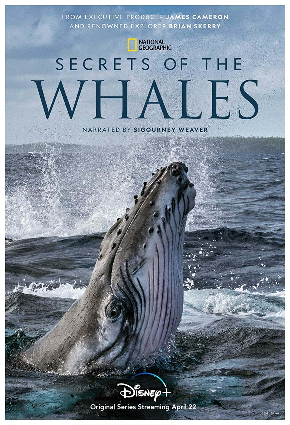 原版纪录片《鲸鱼的秘密/Secrets Of The Whales》S01 1080p DSNP WEBRip DDP5 1 x264-WH4L3S 原版无字纪录片解说素材1080高清下载