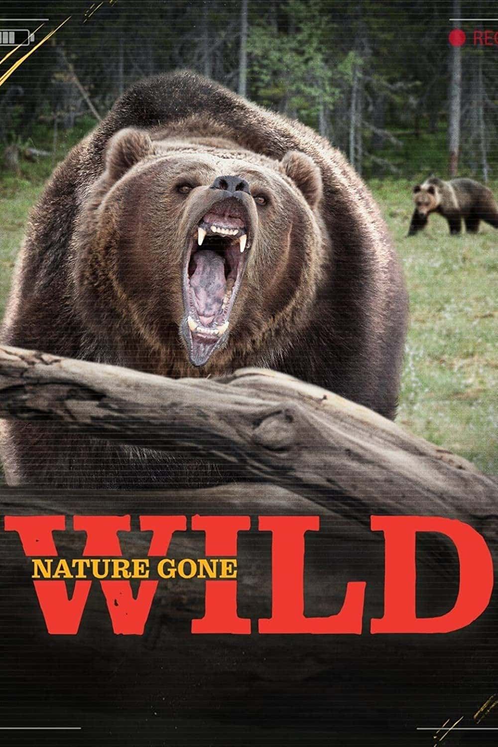 原版纪录片《自然荒野/Nature Gone Wild》S01 1080p WEBRip AAC2 0 x264-BAE 原版无字纪录片解说素材1080高清下载