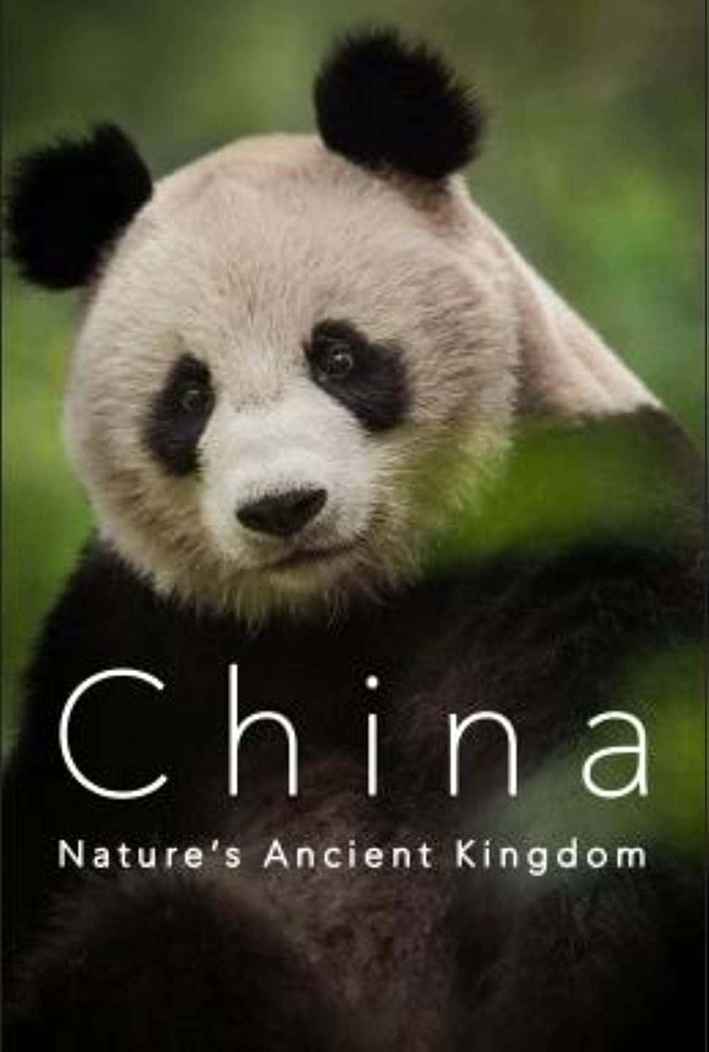 原版纪录片《中国自然古国/China Natures Ancient Kingdom》S01 WEBRip AAC2 0 x264-BAE 原版无字纪录片解说素材1080高清下载