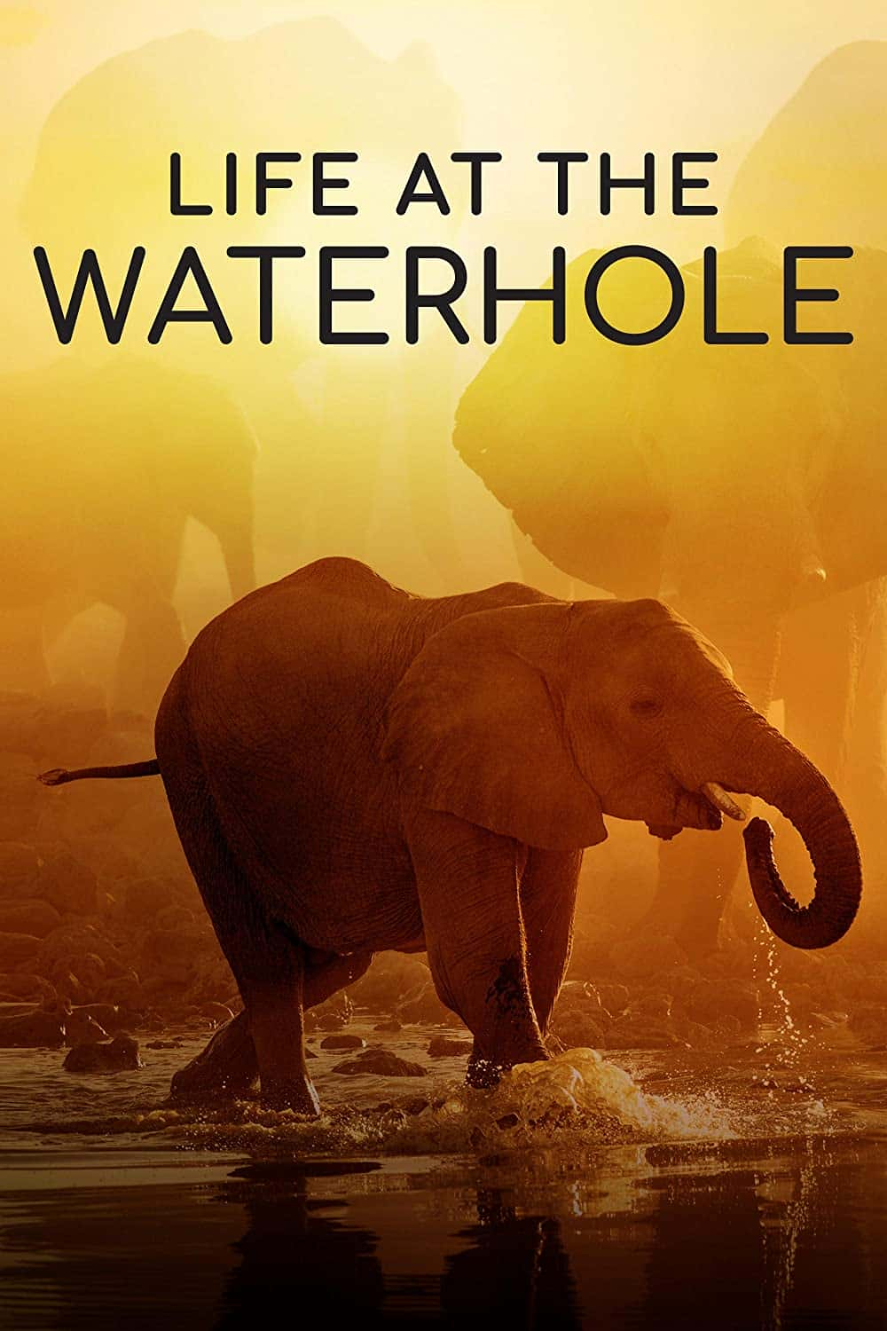 原版纪录片《水坑生活/Life at the Waterhole》S01 720p WEBRip AAC2 0 x264-BAE 原版无字纪录片解说素材1080高清下载