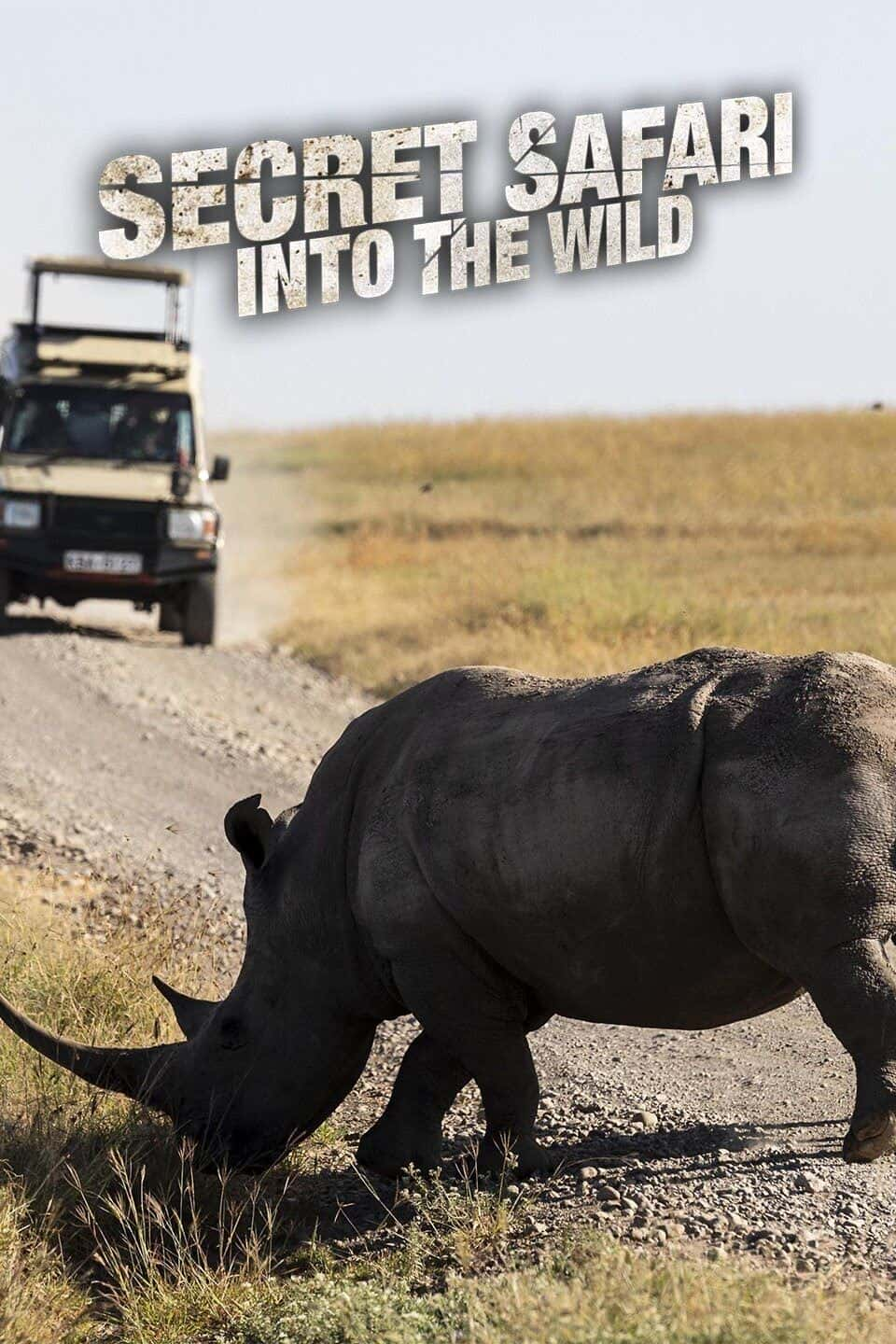 原版纪录片《秘密野生动物园/Secret Safari Into the Wild》S01 720p ALL4 WEBRip AAC2 0 x264-NTb 原版无字纪录片解说素材1080高清下载