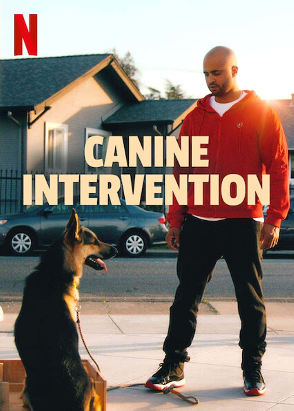 原版纪录片《犬类干预/Canine Intervention》S01 1080p NF WEBRip DDP5 1 x264-STOUT 原版无字纪录片解说素材1080高清下载