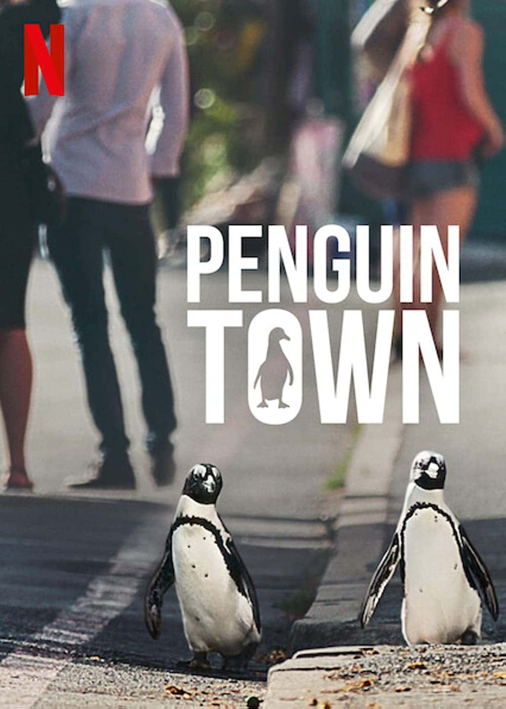 原版纪录片《企鹅小镇/Penguin Town》S01 WEBRip x264-ION10 原版无字纪录片解说素材1080高清下载