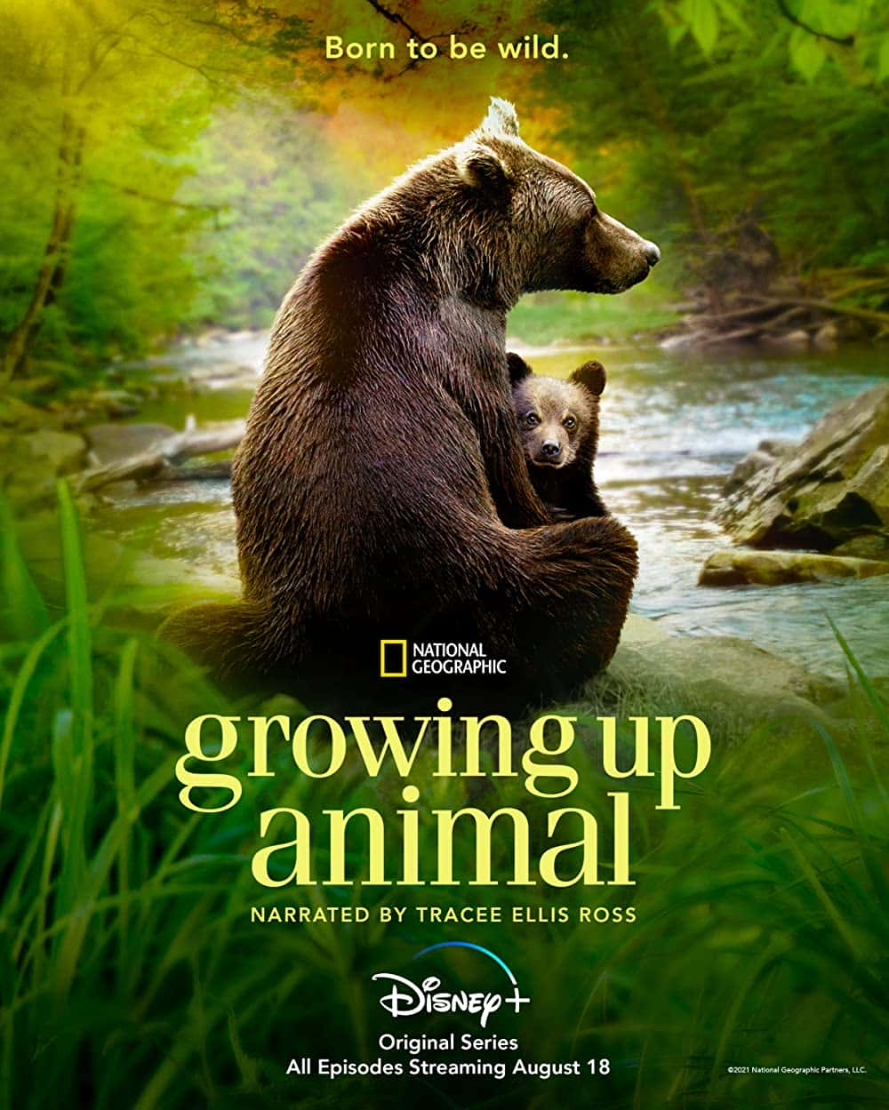 原版纪录片《成长动物/Growing Up Animal》S01 1080p WEBRip DDP5 1 x264-ROCCaT 原版无字纪录片解说素材1080高清下载