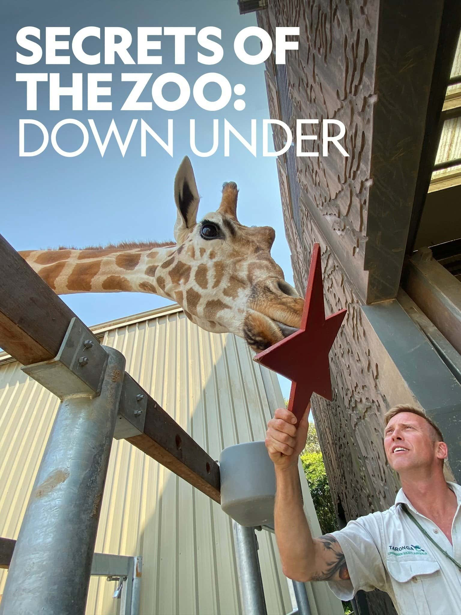 原版纪录片《澳大利亚动物园的秘密/Secrets Of The Zoo Down Under》S01 WEBRip x264-ION10 原版无字纪录片解说素材1080高清下载