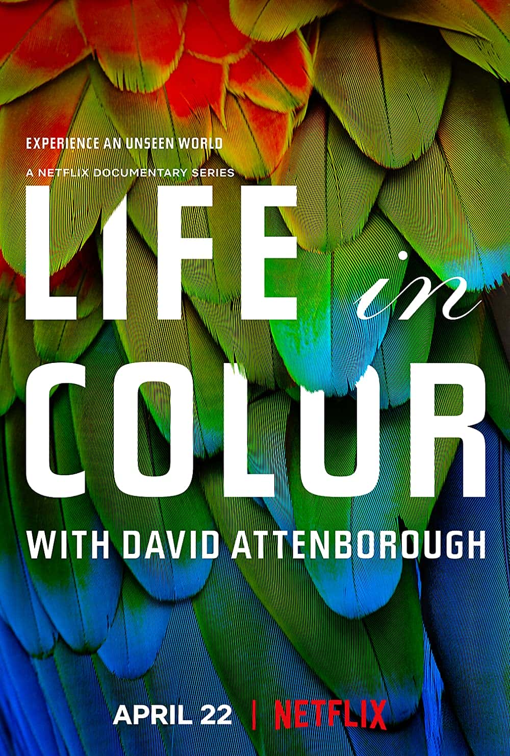 原版纪录片《爱登堡色彩缤纷的生活/Attenboroughs Life in Colour》S01 1080p BluRay x264-ORBS 原版无字纪录片解说素材1080高清下载