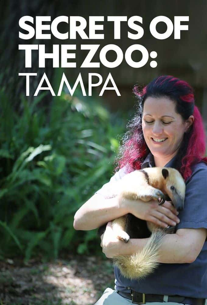 原版纪录片《坦帕动物园的秘密/Secrets Of The Zoo Tampa》S01 1080p DSNP WEBRip DDP5 1 x264-NTb 原版无字纪录片解说素材1080高清下载