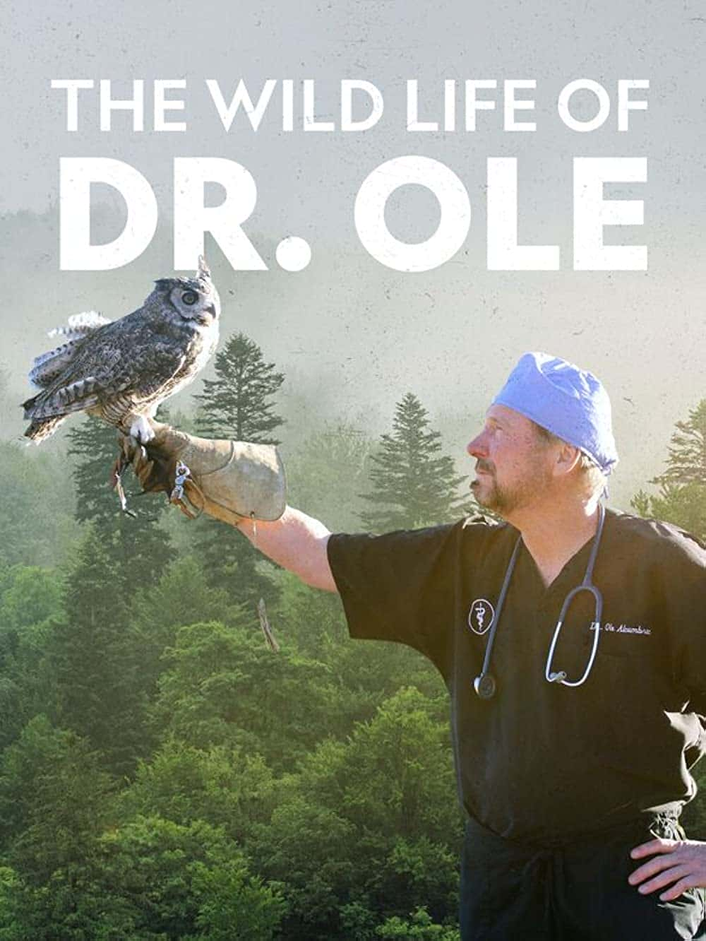 原版纪录片《奥莱博士的狂野生活/The Wild Life of Dr Ole》S01 WEBRip x265-ION265 原版无字纪录片解说素材1080高清下载