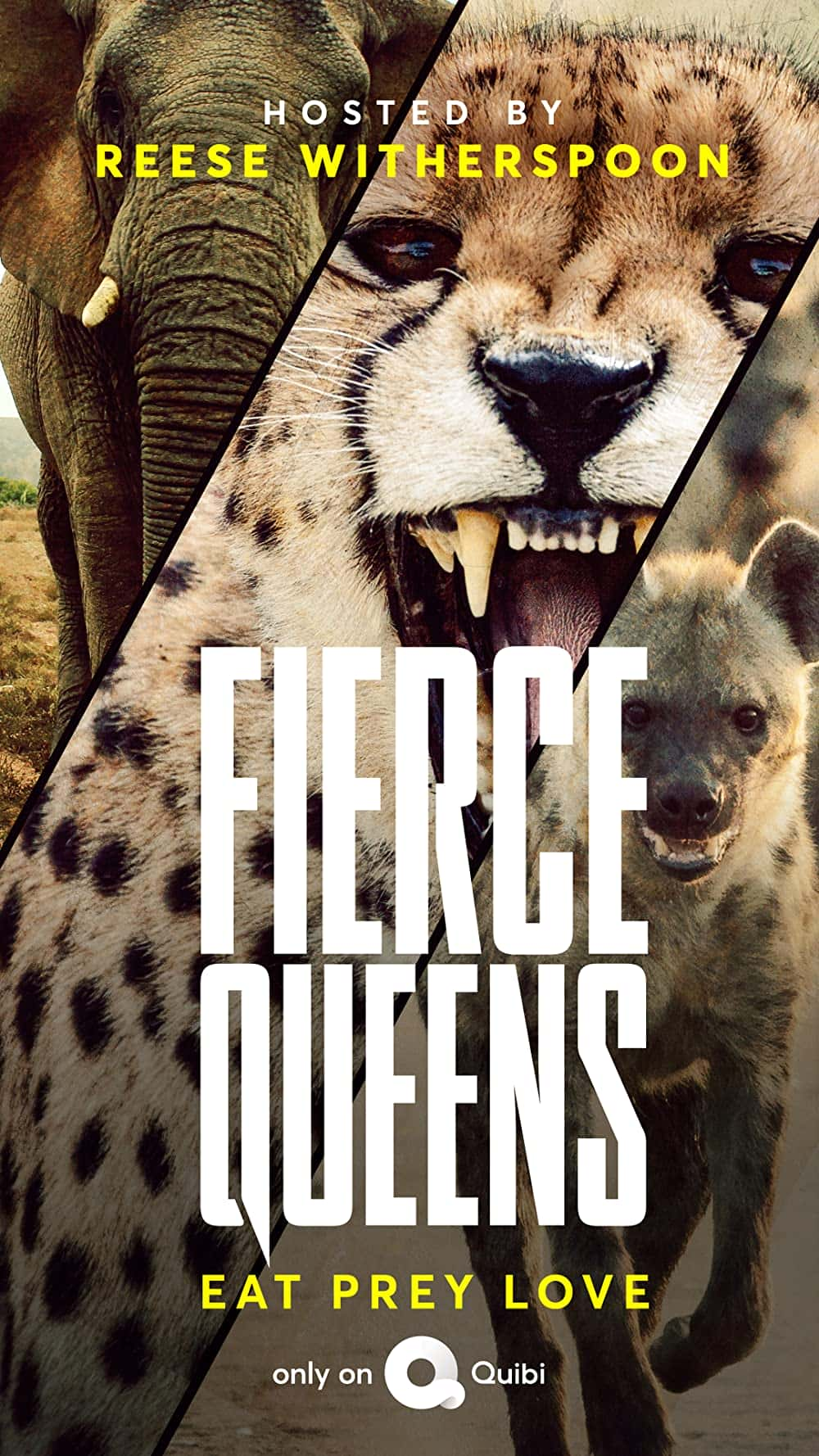 原版纪录片《凶猛的皇后区/Fierce Queens》S01 1080p ROKU WEBRip DD5 1 x264-HOTSTUFF 原版无字纪录片解说素材1080高清下载