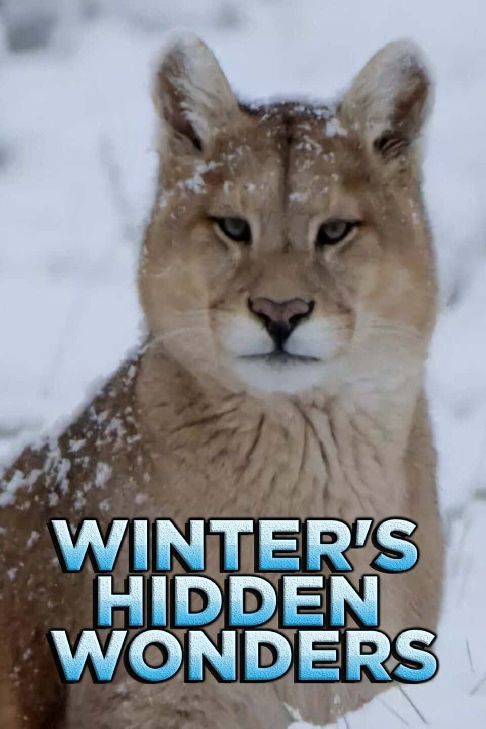 原版纪录片《温特斯隐藏的奇观/Winters Hidden Wonders》S01 1080p HDTV H264-CBFM 原版无字纪录片解说素材1080高清下载