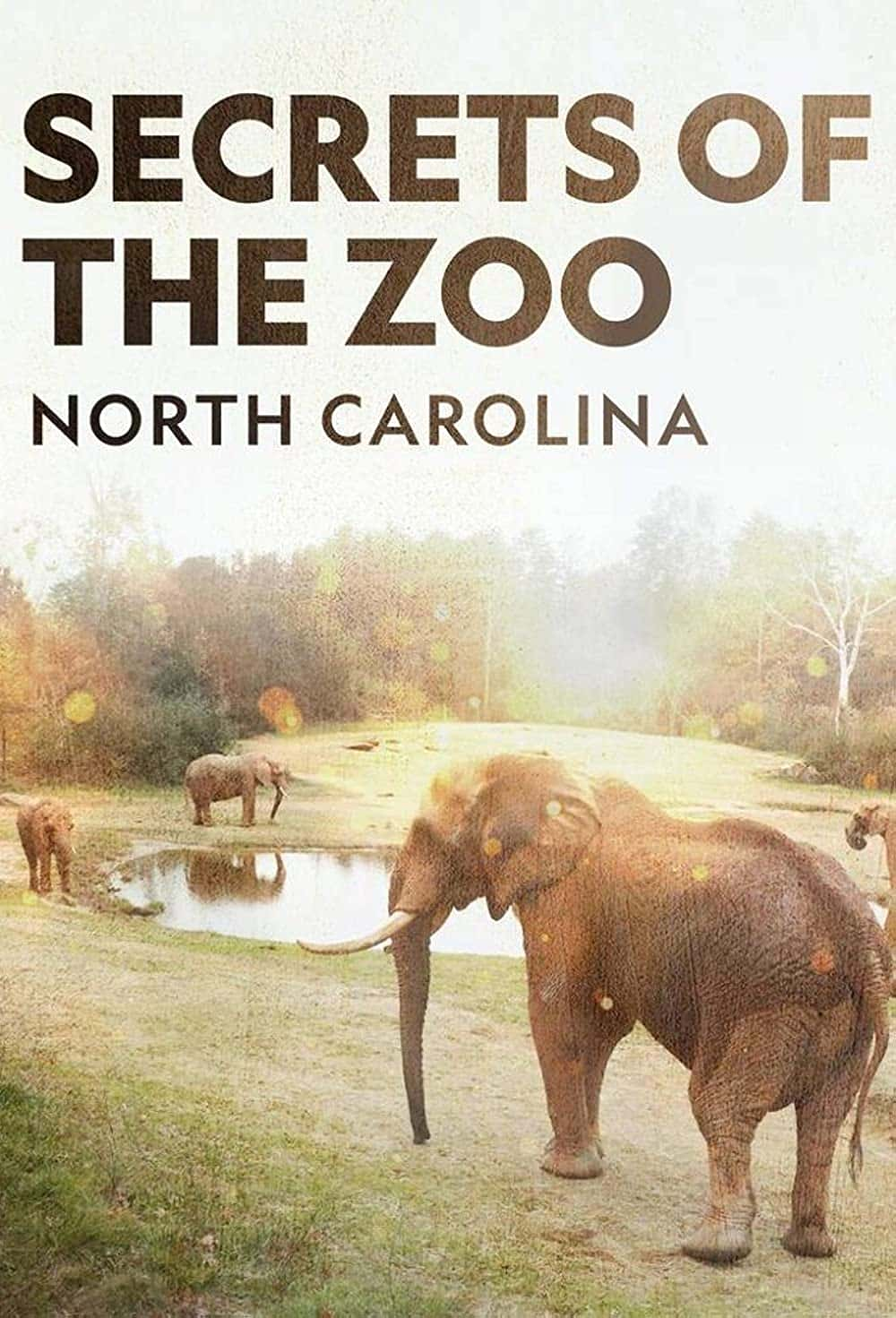 原版纪录片《北卡罗来纳州动物园的秘密/Secrets Of The Zoo North Carolina》S01 WEBRip x265-ION265 原版无字纪录片解说素材1080高清下载