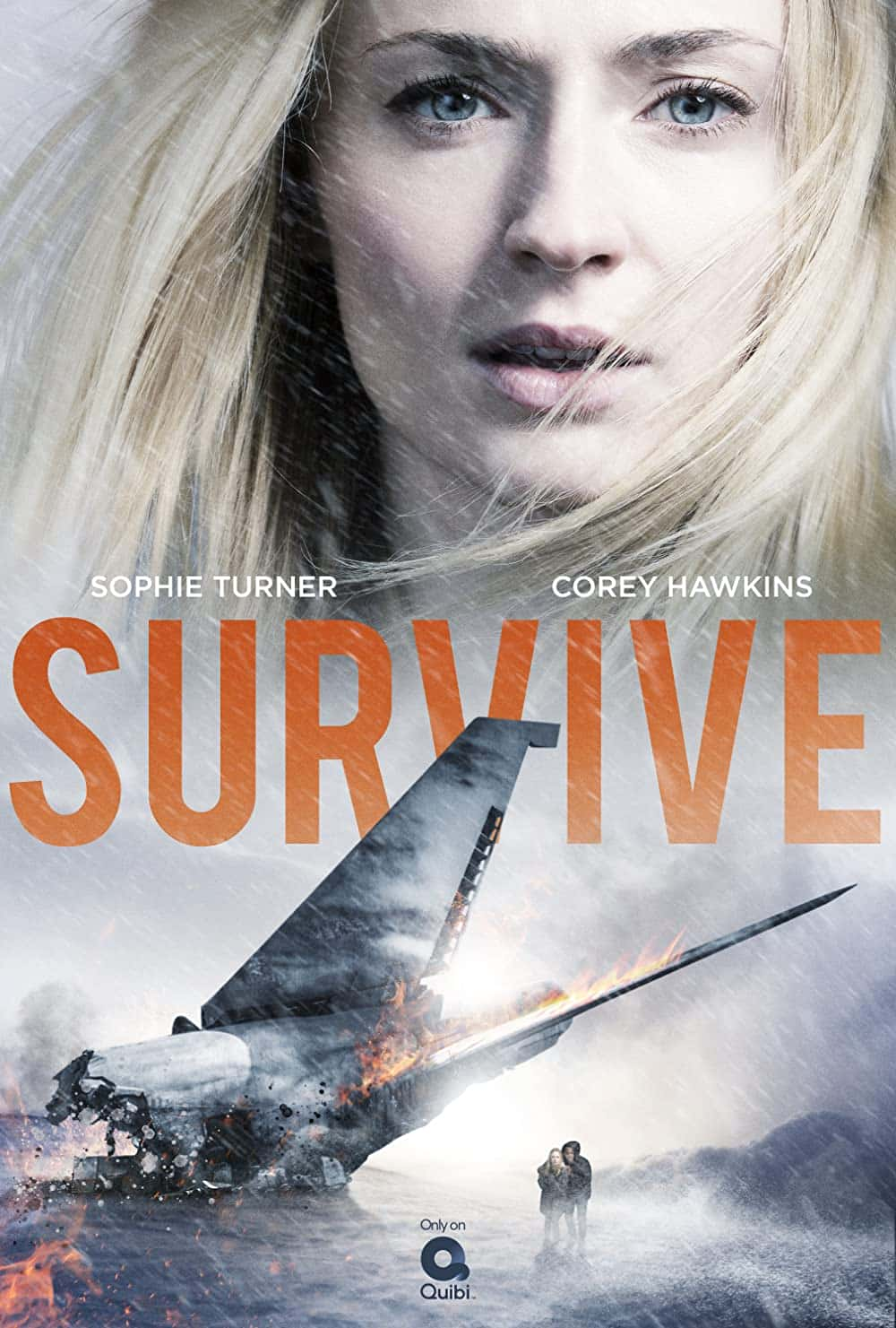 原版纪录片《存活/Survive》S01 1080p ROKU WEBRip DD5 1 x264-NTb 原版无字纪录片解说素材1080高清下载